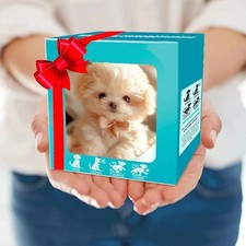 My Robot Puppy Electronic Interactive Dog-Walking Barking,Unique Gifts for Kids