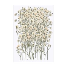 100pcs Baby Breath Flowers Artificial Bulk Fake Babys Breath Artificial Flowe...