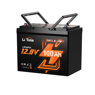 Litime 12V 100Ah Smart Group 24 LiFePO4 Lithium Battery with Bluetooth Function