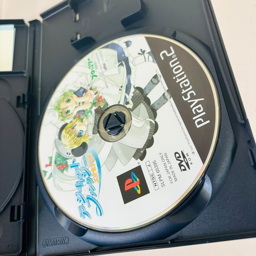 Di Gi Charat Fantasy Excellent Premium Edition with Case PS2 Game Software Rare - Picture 5 of 24