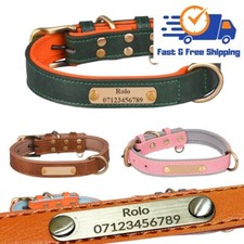Dog Collar Personalised Soft Padded Leather Custom Engraved Name Pet ID Tag UK