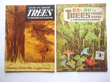 Walter Foster How to Draw  Paint Trees 68  3 W18