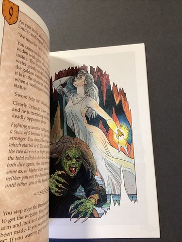 Darkmoon's Fluch: Adventures of Goldhawk Ian Livingstone 1995 Papageientaucher/Pinguin 1. - Bild 5 von 5