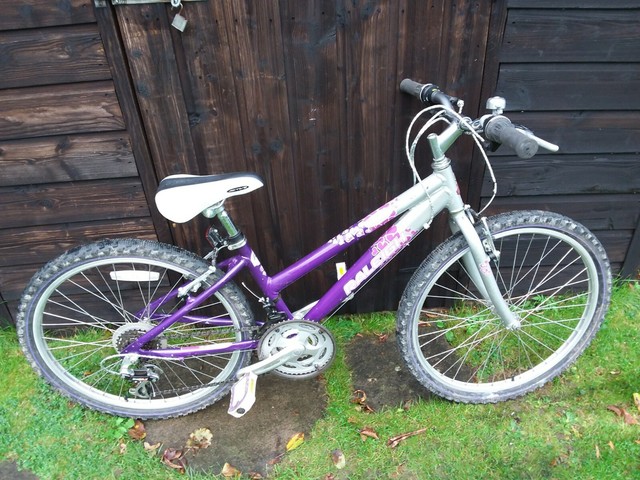 ridgeback 24 dimension