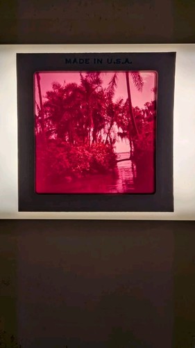 219 Florida Nags Head New Hampshire Slides Beach Mountain Winter Lake 50s 60s - Picture 10 of 13