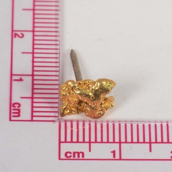 Natural Gold Nugget Tie Tack - image 1