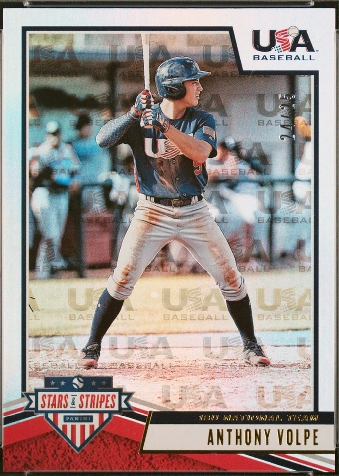 Longevity Gold Team Logo