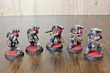 Warhammer 40k Iron Ravens Primaris Infernus Squad (5) Fully Assembled Painted