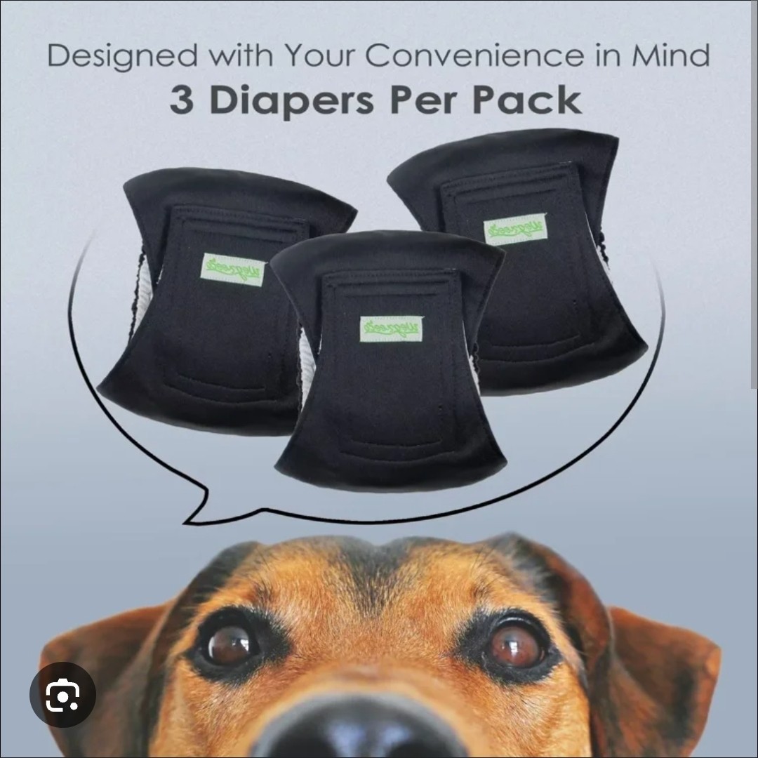 Wegreeco Men's Dog Belly Bands Reusable, Washable, Size X-Large