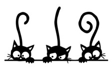 1x  Katzen Lustig Auto Aufkleber  Sticker 19x10,5cm Geschenk Mietze Kater