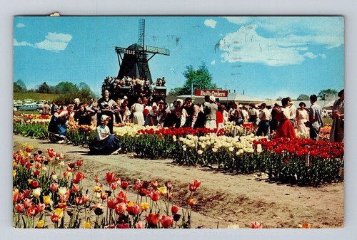 Holland MI-Michigan, Dutch Dancers, Dutch Costumes, Vintage c1962 Postcard