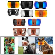 Horse Racing Goggles Windproof Horse Eye Protection for Jumping Outdoor Polo NEW