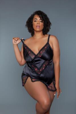 sexy BE WICKED satin MESH v-neck ROSE embroidered BABYDOLL chemise MINI dress