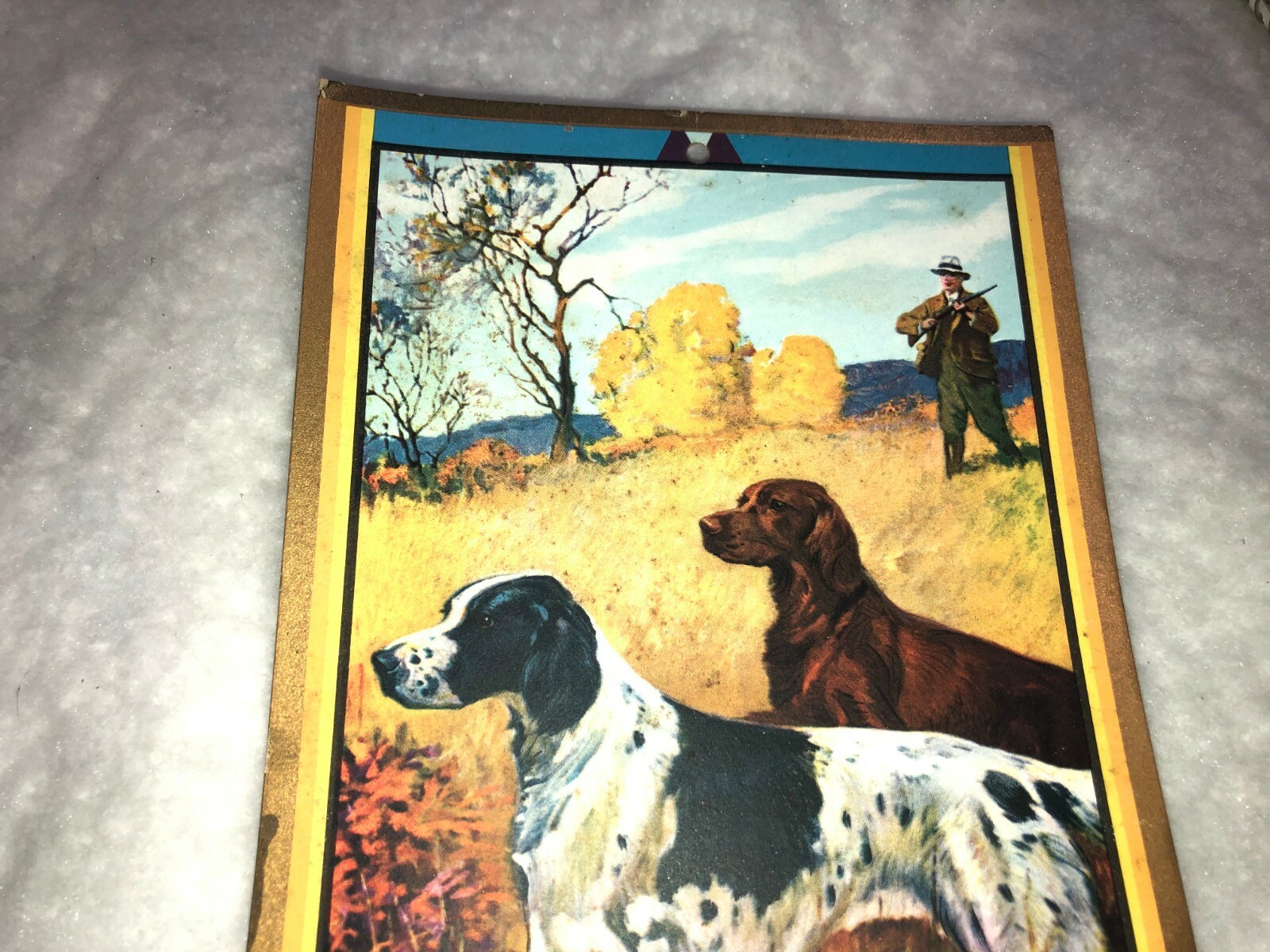 Picture 2 of 6