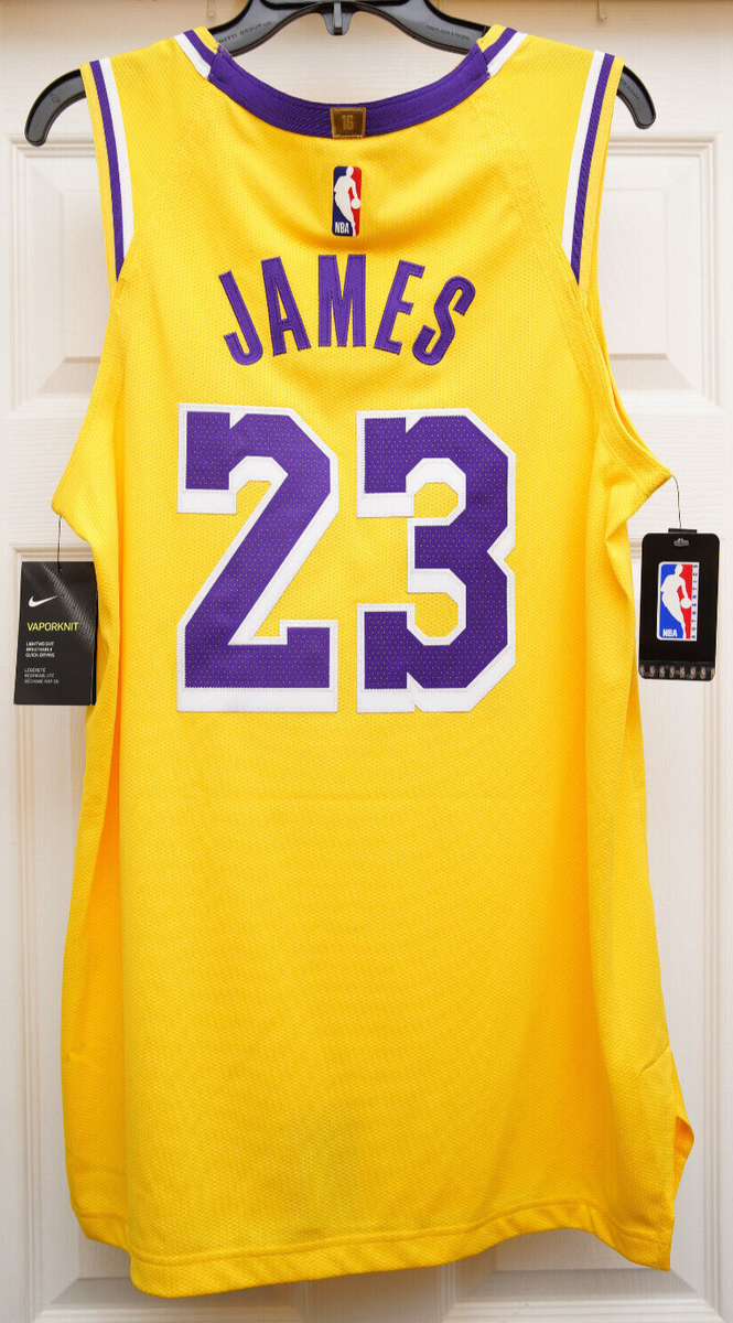 【値下げ】LeBron James Authentic Jersey Lebron James LA Lakers Nike Authentic NBA Icon Edition Jersey 2020
