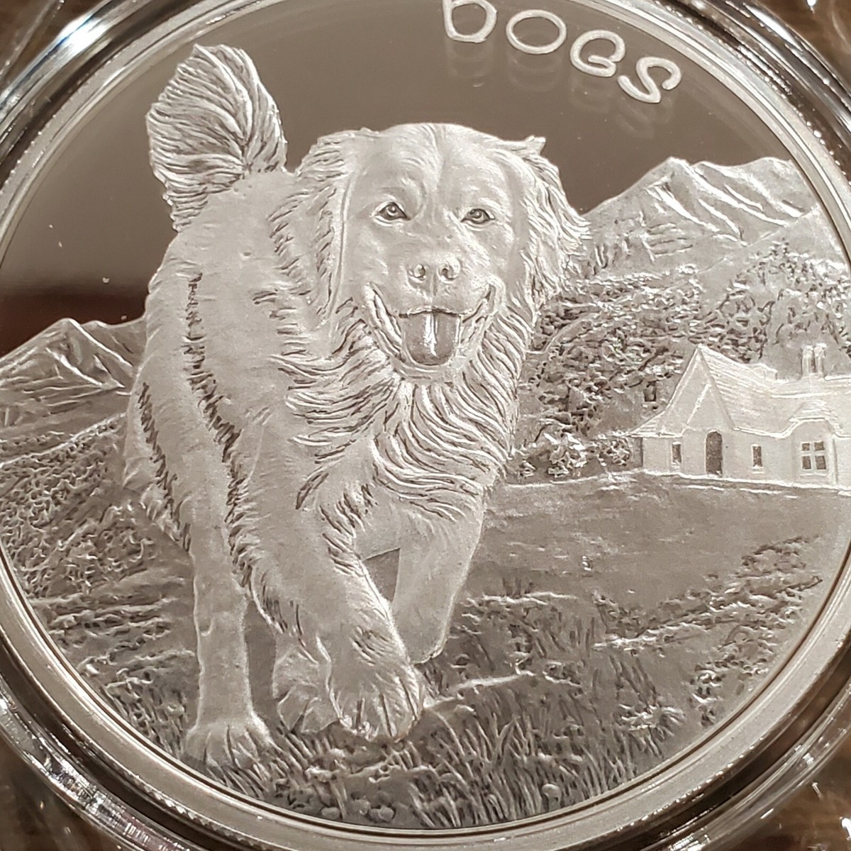 2022 Fiji Dog 1 Oz .999 Silver 50 Cents Proof-Like Coin Puppy W