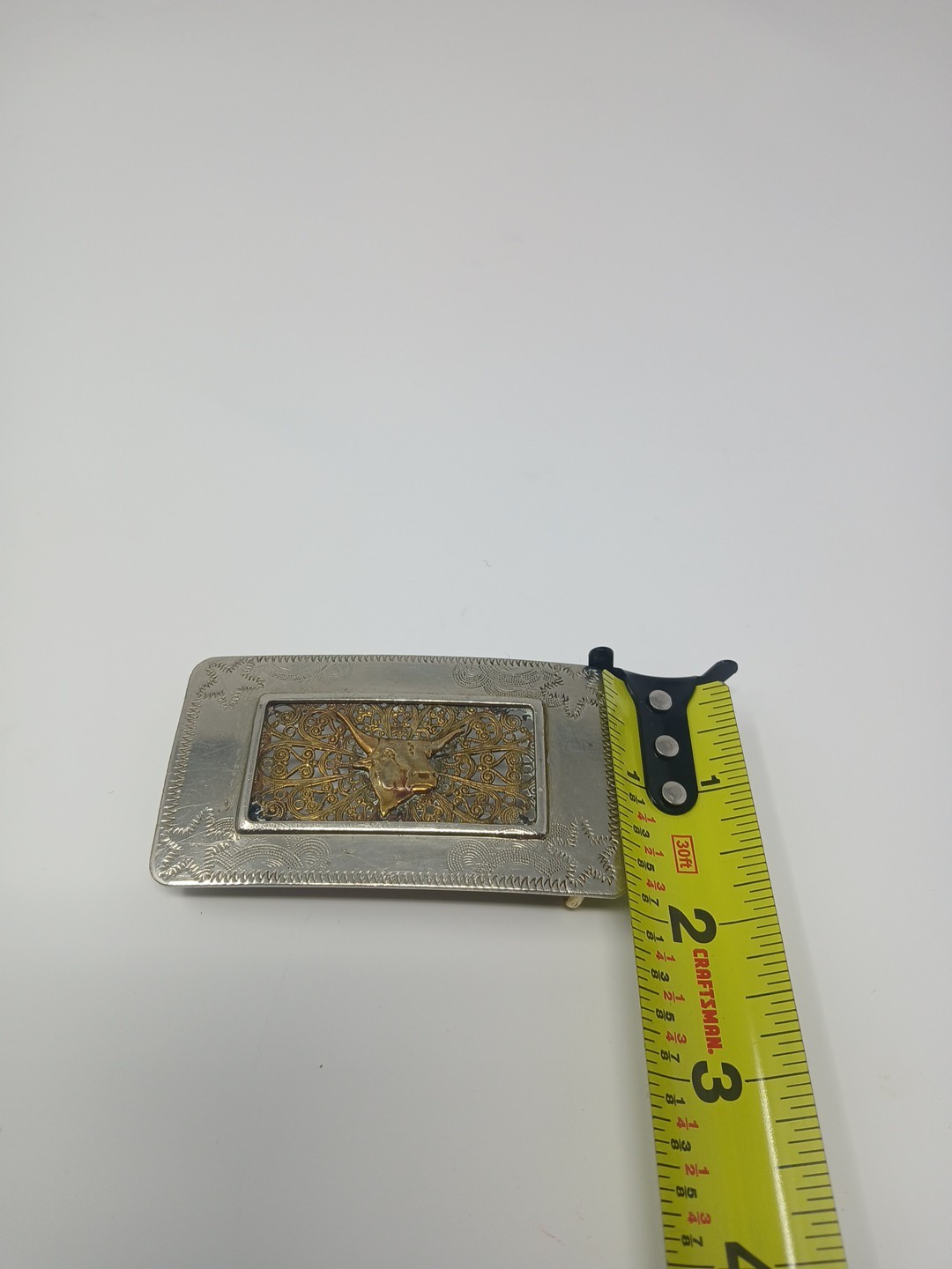 Picture 11 of 11
