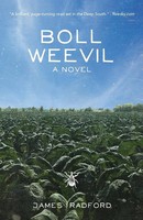 James Radford | Boll Weevil | Taschenbuch | Englisch (2019) | A Novel