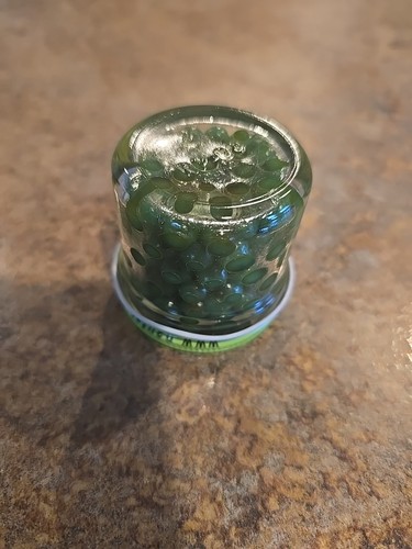 (1) Huevos de salmón Pautzke bolas de fuego Chartreuse ajo verde pesca 1 oz - Imagen 3 de 4