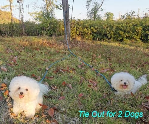 Dog Tie Out for 2 Dogs, Reflective Long Dog Tether 12ft/ 20ft/ 30ft, 12FT Black - Foto 3 di 6