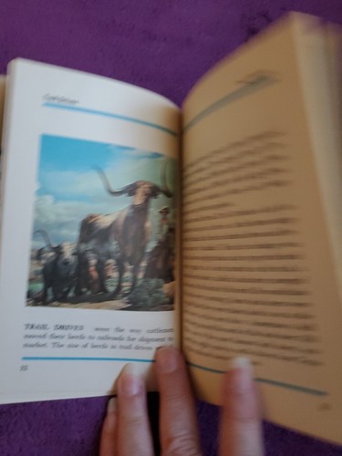 Quiz-Me Cowboy Junior Golden Guide by Jay Clark - Imagen 6 de 9
