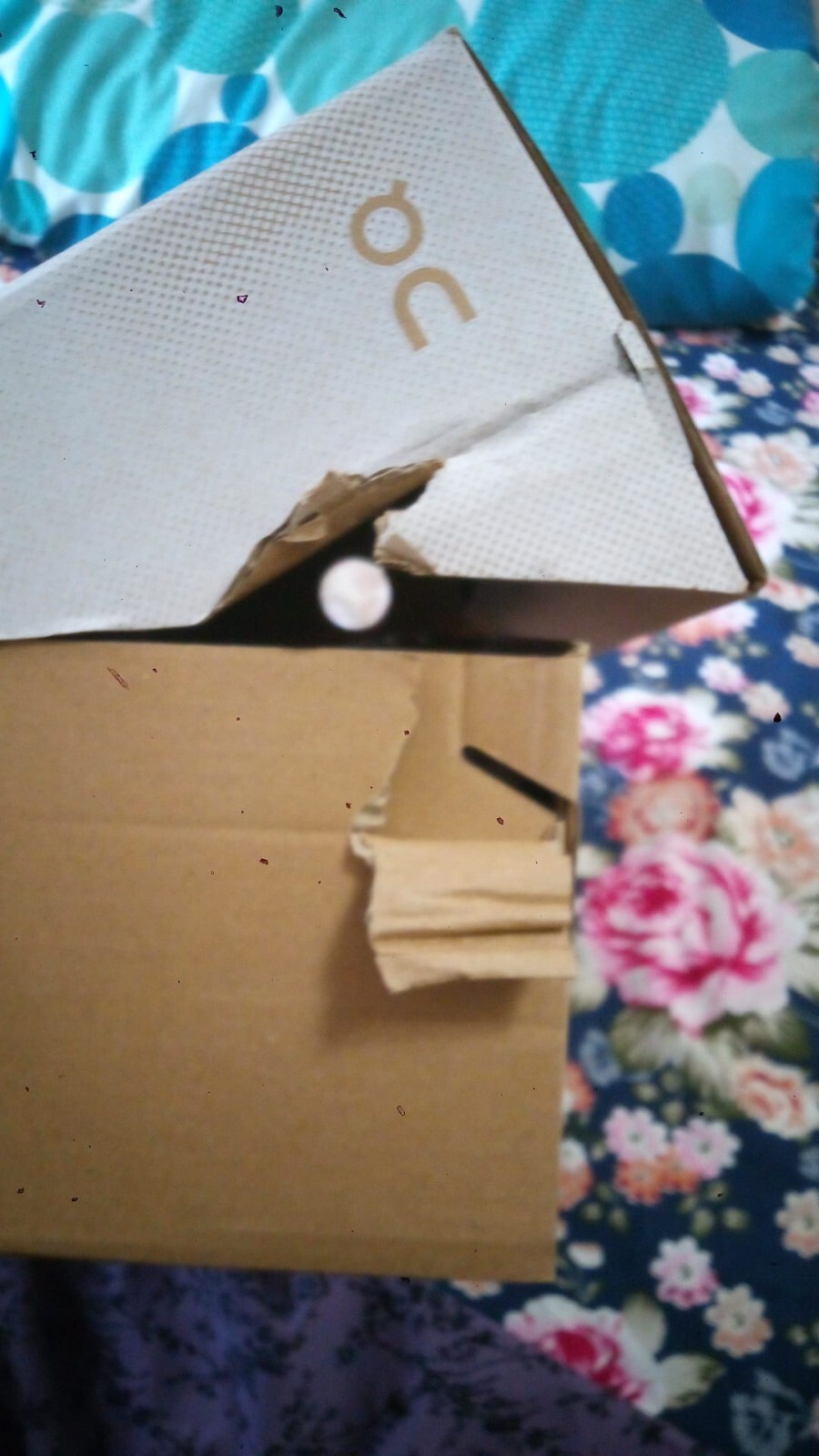 Bild 8 von 9