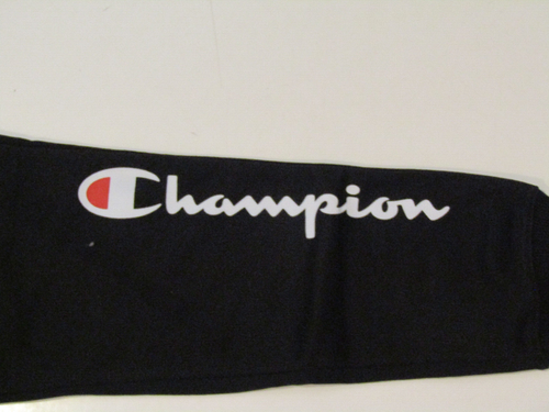 CHAMPION Youth Logo Sweatpants Jogger Pants Sz Medium 10/12 NWT - Picture 2 of 4