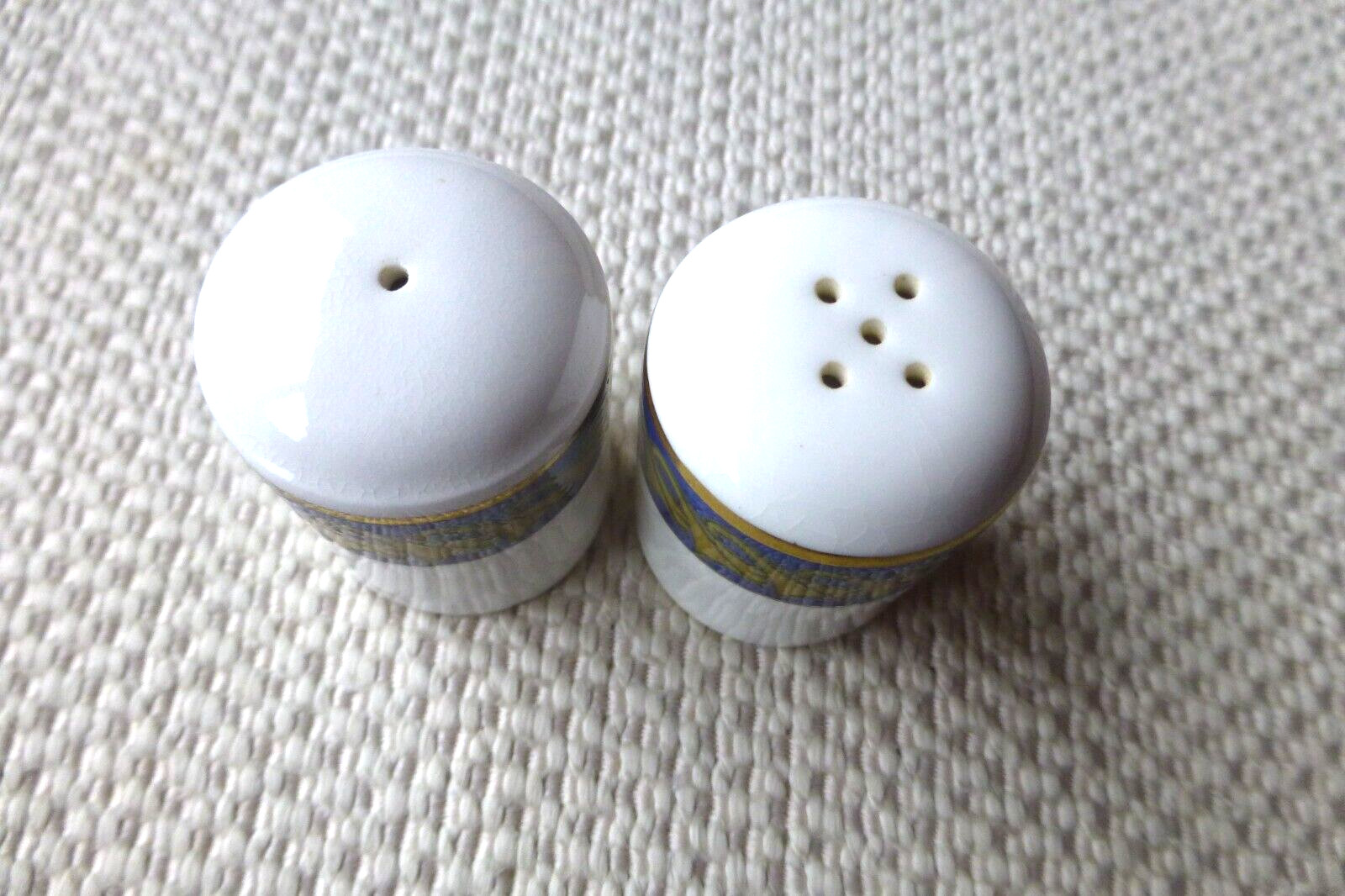 Concorde Royal Doulton Salt and Pepper pots Pre owned eNotary