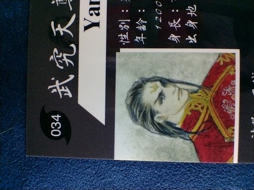 Tarjeta coleccionable SOUKAIGI "Yang Long" PS1 SQUARE YUKE'S BROCCOLI Co. 1998 Japón - Imagen 8 de 10