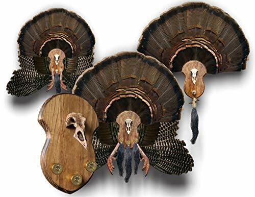 Mountain Mike's Reproductions Ultimate Turkey Mounting Kit Plaque Beard Fan