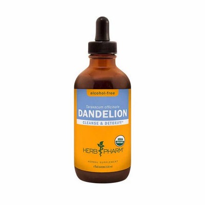 Dandelion Glycerite 4 Oz By Herb Pharm