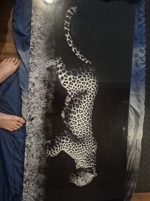 Famous Art Framed Leopard Print, Black & White Paper Wall Art, Horizontal