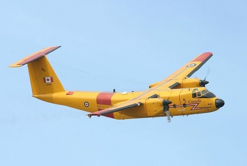 de Havilland Canada DHC-5 Buffalo Aircraft Desktop Kiln Dried Wood Model Reglar - Picture 2 of 3