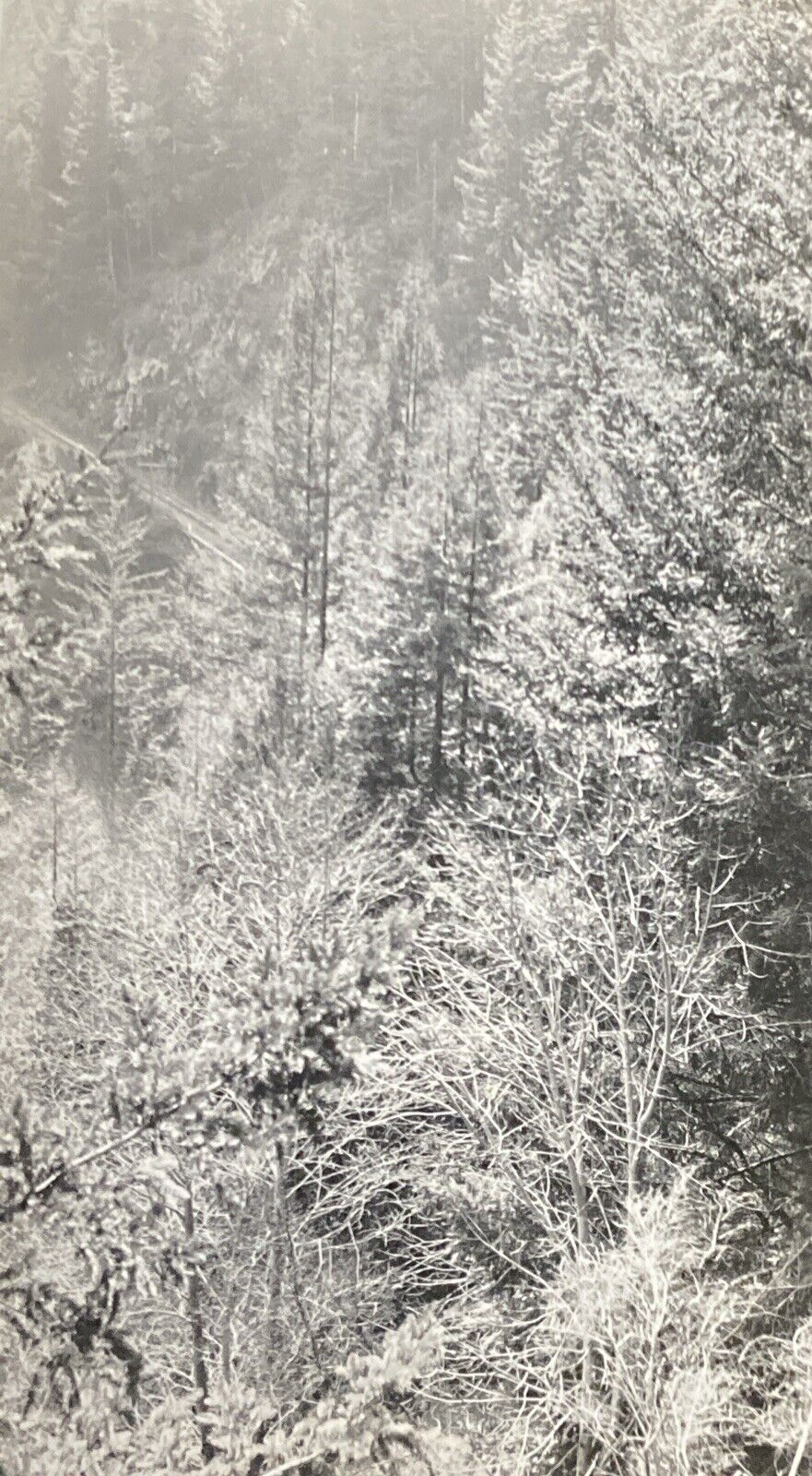 Picture 1 of 16