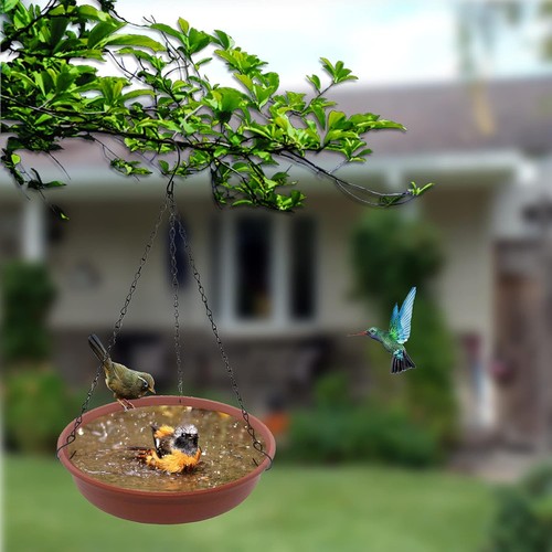Hanging Bird Bath Feeder for Outdside, 12" in Diameter × 2.25" Birdbath - Picture 3 of 6