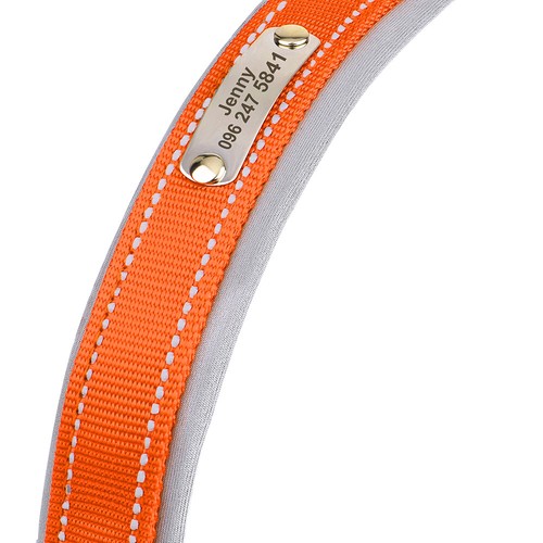 Reflective Personalised Soft Padded Nylon Dog Collar with Custom Name ID Tag - Picture 20 of 26
