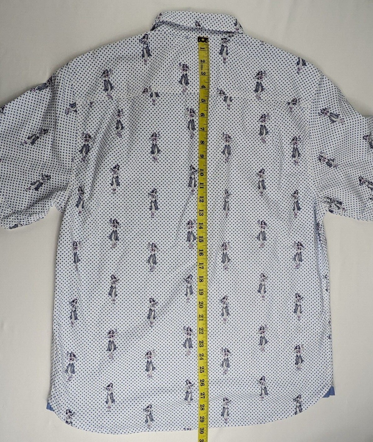 Picture 7 of 12