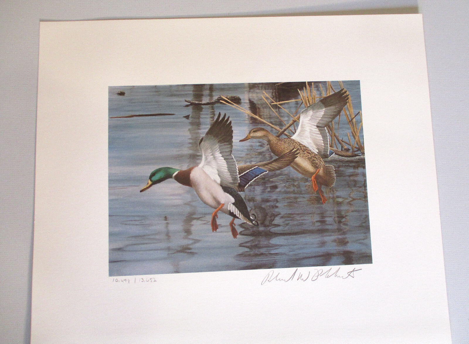 Bild 4 von 6