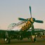 collectorscatalogue3663