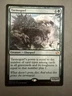 MTG: Tarmogoyf Foil Card Modern Masters 2015 - NM