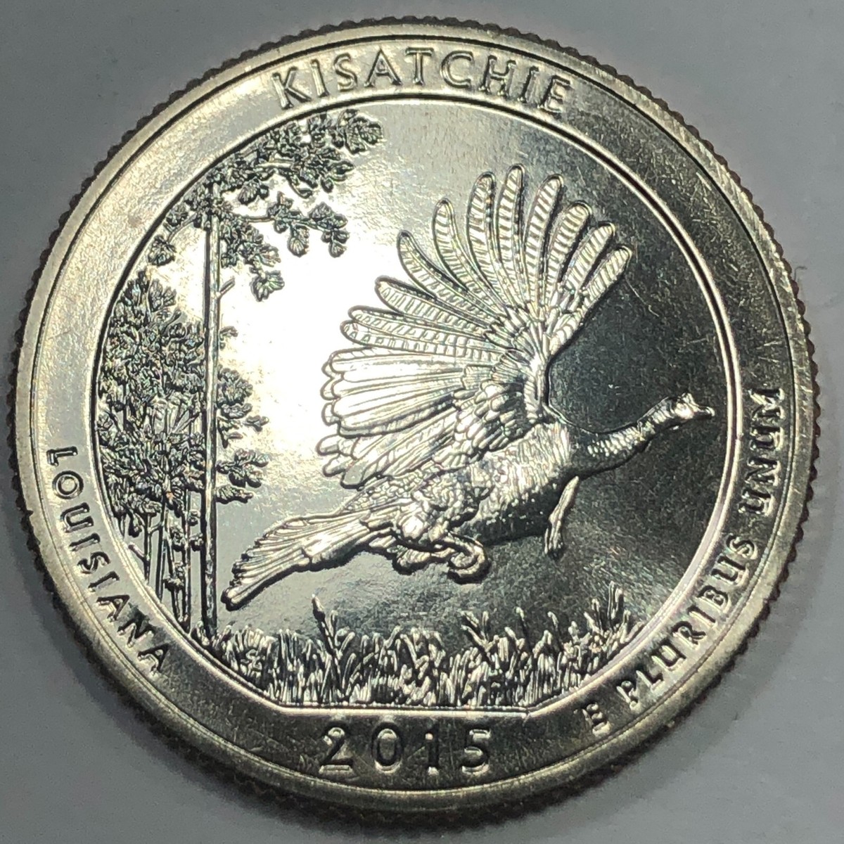 2015 S - Kisatchie National Forest ATB Quarter Dollar Coin