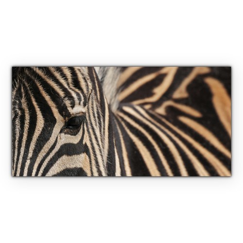 Zebra Streifen Tier Wohnzimmer Leinwand Bild XXL Canvas Bilder Großbild 140x70 - Bild 4 von 11