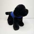 Foto 3 di 8