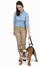PetSafe CareLift Support Harness - Rear Lifting Aid with Handle Size Medium
