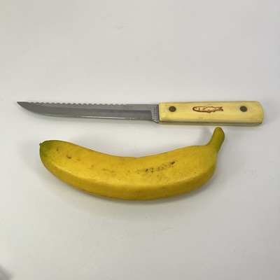 Ka bar 1382 USA Fillet Full Tang Knife 10.5  With Fish Scaler
