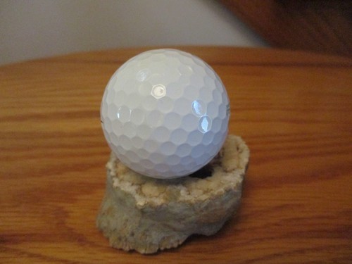 THE PLAYERS CLUB WOODLAND TRAILS Indiana Logo Golfball - TaylorMade TP5x - Bild 6 von 6