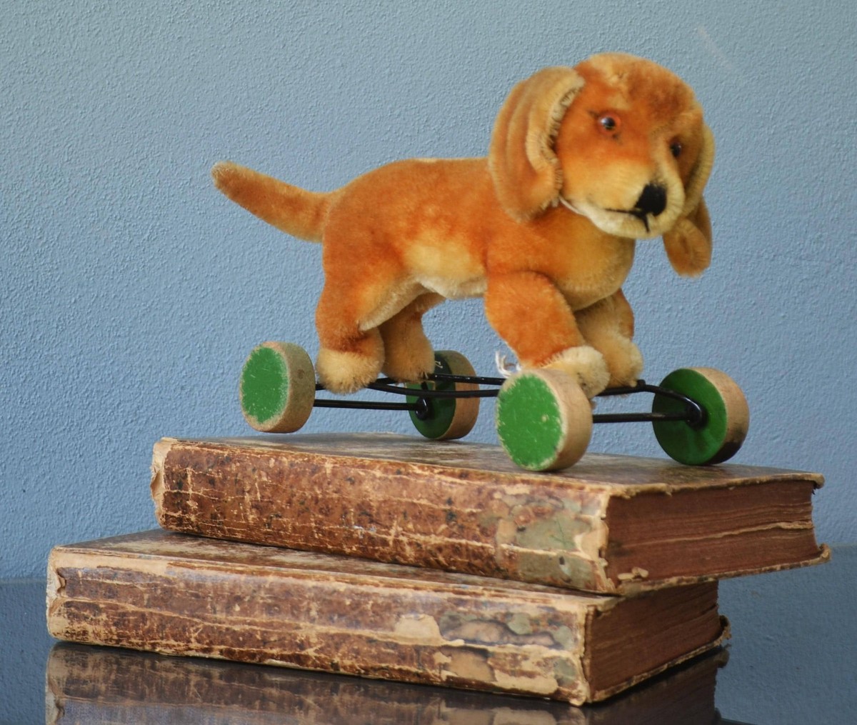 Steiff - シュタイフ★Bazi Dachshund (立ちポーズ)★ダックスフントのバジー Steiff Bazi Dachshund 1950s Dog Mohair Plush 14cm 5.5in
