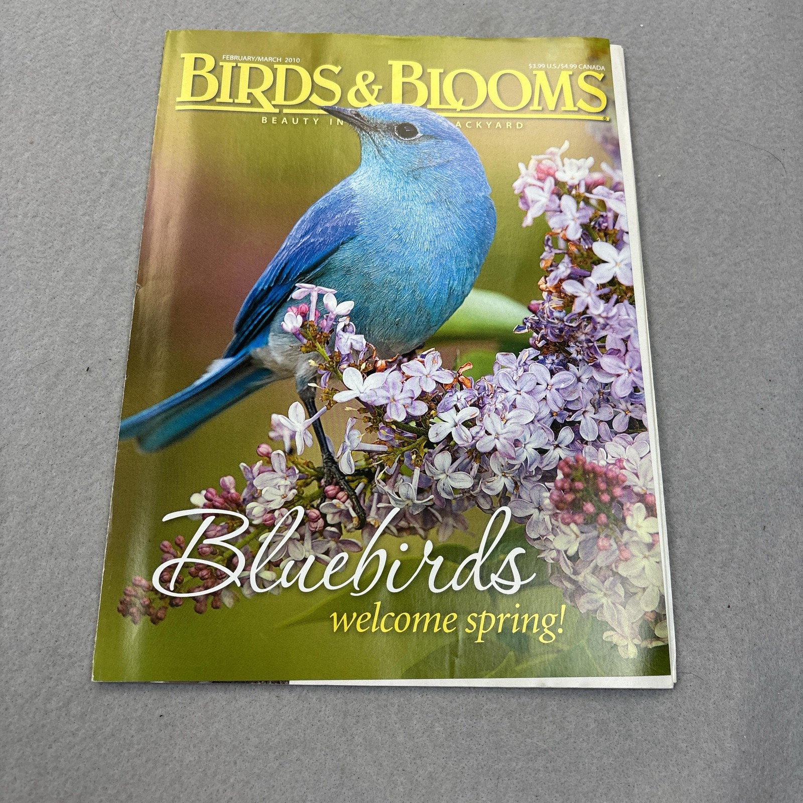 Birds & Blooms Feb/Mar 2010 Magazine Illustrated Bluebird Green Cover USA