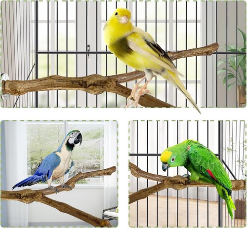 Easy Install Natural Grape Vine Perches - 3PCS for Active Budgies & Cockatiels - Picture 5 of 9
