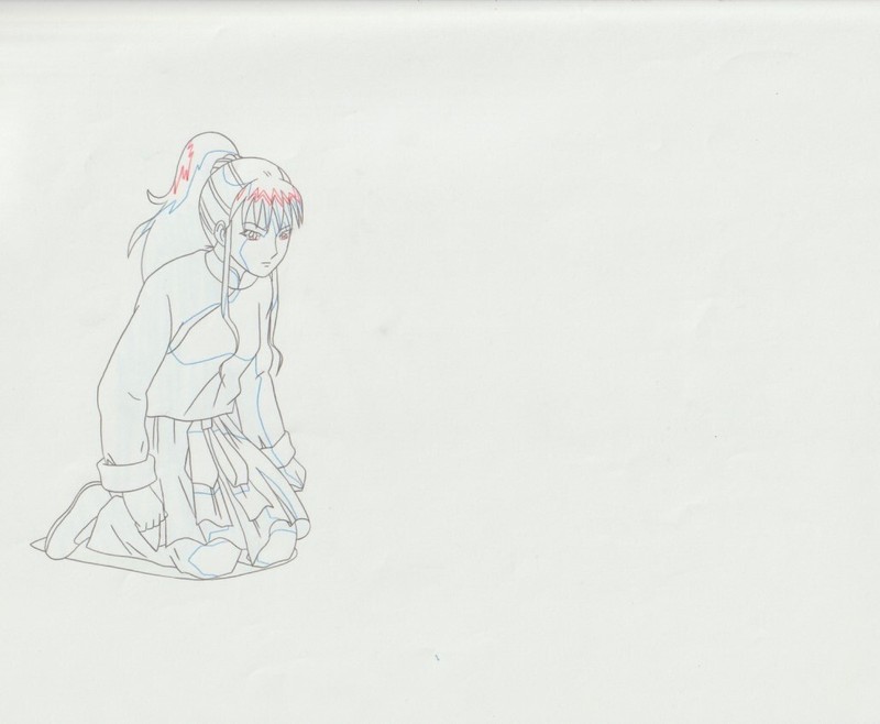 The Twelve Kingdoms Juuni Kokki Genga Douga Original Sketches Pierrot - Youko